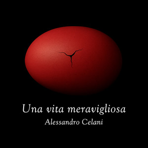 Una vita meravigliosa