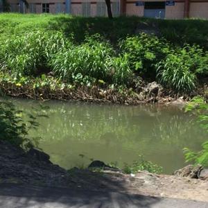 Slime'd Out (feat. Texako & CPAIN) (Explicit)