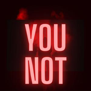 You Not (Explicit)