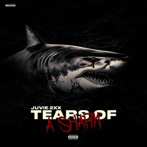 Tears Of A Shark (Explicit)