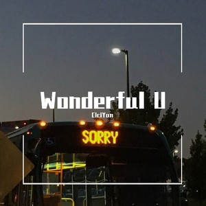 Wonderful U