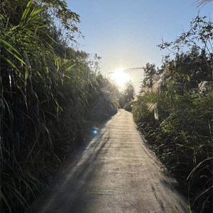 这条路太安静 (Demo)