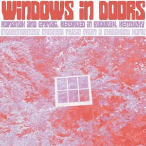 Windows in Doors