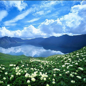 春的绿野（清新风景音乐）