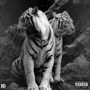 Evil Twins (feat. HG Jah Shoota) (Explicit)