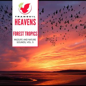 Forest Tropics - Wildlife and Nature Sounds, Vol. 3