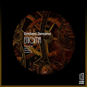 Enigma (Haadling Remix)