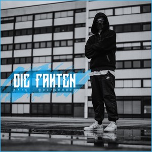 Die Fakten (Explicit)