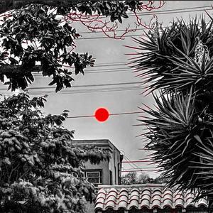 Born Again (Explicit)