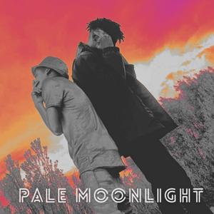 Pale Moonlight (feat. MaddoX_SA)