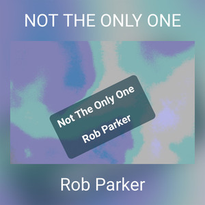 NOT THE ONLY ONE (Explicit)