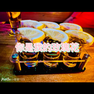 你的千山万水 (高潮版)