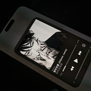 失去你的风景 (Remix)