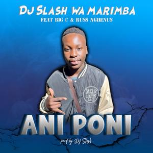 Ani Poni (feat. Big C & Russ Nghenus)
