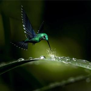 Resplandor (feat. Claudio Solino) (Explicit)