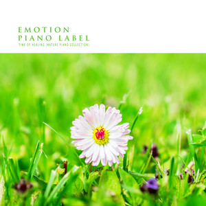 치유의 시간 (Nature Piano Collection)