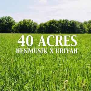 40 Acres