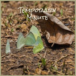 Temporary Minute