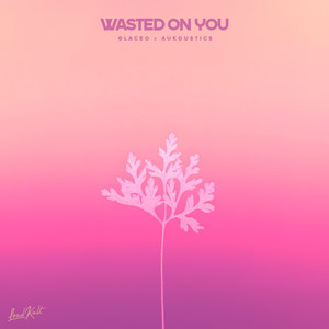 Wasted on You