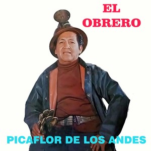 Picaflor de los Andes (El Obrero)