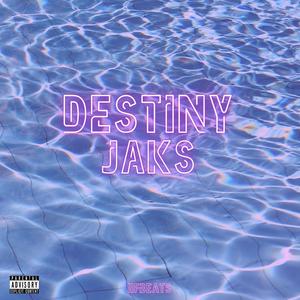 Destiny (feat. JAKS) (Explicit)