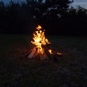 Senda ignota (feat. Viridiana) (Explicit)