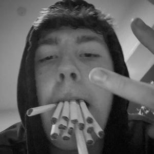 Liquid Dogs (Jakin Remix|Explicit)