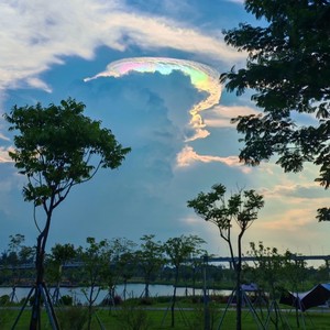 其实我没那么爱你