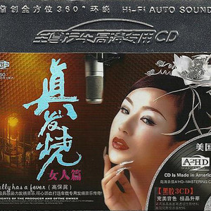 爱情休止符封面