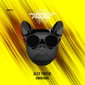 Vibrations (Extended Mix)
