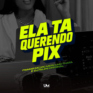 ELA TA QUERENDO PIX (Explicit)