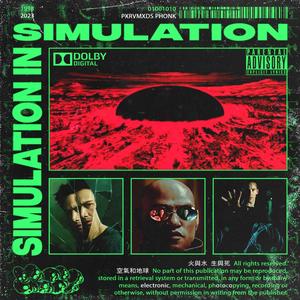 Simulation in Simulation (Explicit)