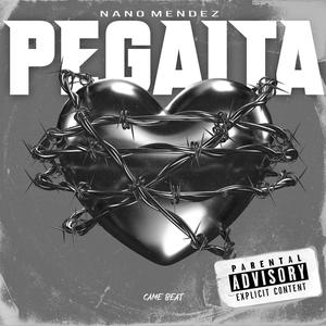 PeGaita (Explicit)