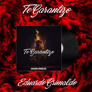 TE GARANTIZO