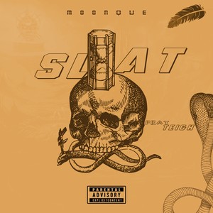 Slat (Explicit)