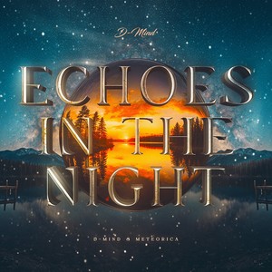 Echoes In The Night