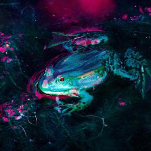 Counterpoint (Ambient Version)