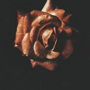 Oye Mujer (Live Mambo Version)