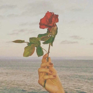 何晓墨 - 夜店之音 (Remix)