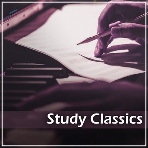 12 Songs, Op. 21 - Rachmaninoff: 12 Songs, Op. 21: V. Lilacs (Transcr. Rachmaninoff for Solo Piano)