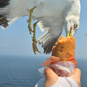 带你奔向远方 (重制版)