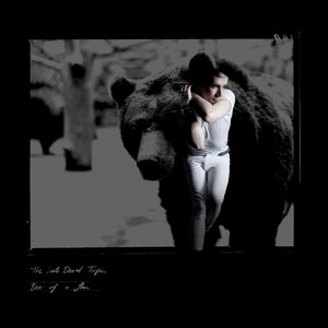 Bear of a Star (Carriages Remix)