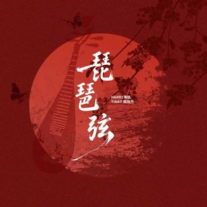 琵琶弦 (戏腔版) - Harry海锐封面