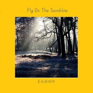 Fly On The Sunshine