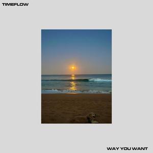 WAY YOU WANT (Explicit)