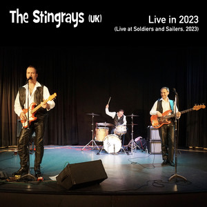 The Stingrays Live in 2023 (Live at Soldiers and Sailers, UK, 2023)