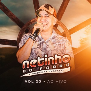 Netinho do Forro, Vol. 20 (Ao Vivo)