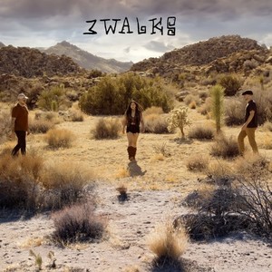 A Shadow's Journey (Continuous Mix)