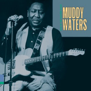 Muddy Waters - Sad Sad Day