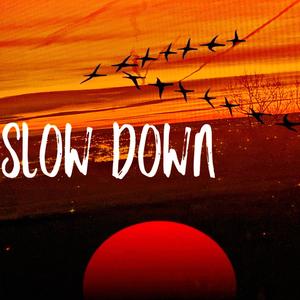 Slow Down (feat. NEHEMIAH.) [Explicit]